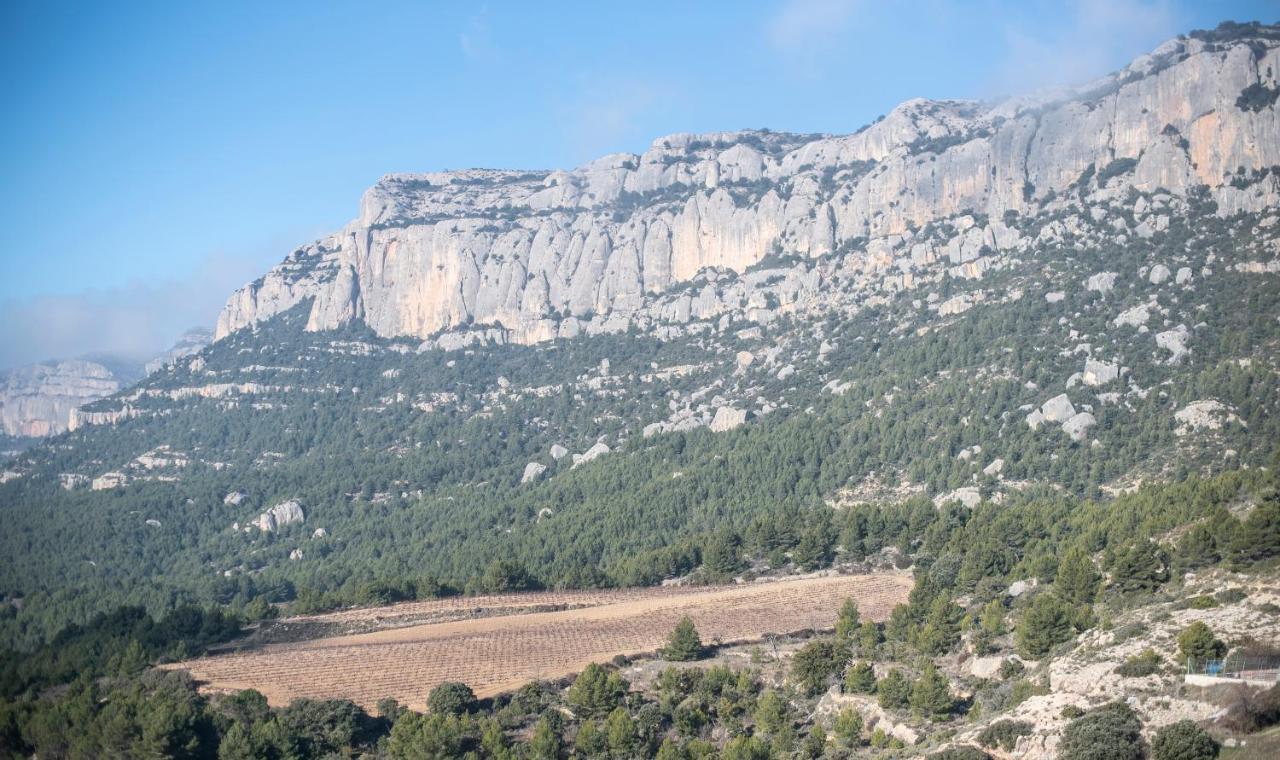 Casa La Morera Del Montsant Holiday home